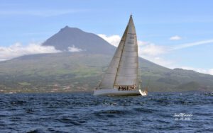 Von den Azoren nach Hamburg – Evi segelt auf Walross 4