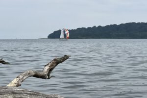 Ohne Drängeln – Rund Vilm 2022