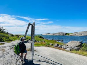 Training, Regatta, Training, Regatta