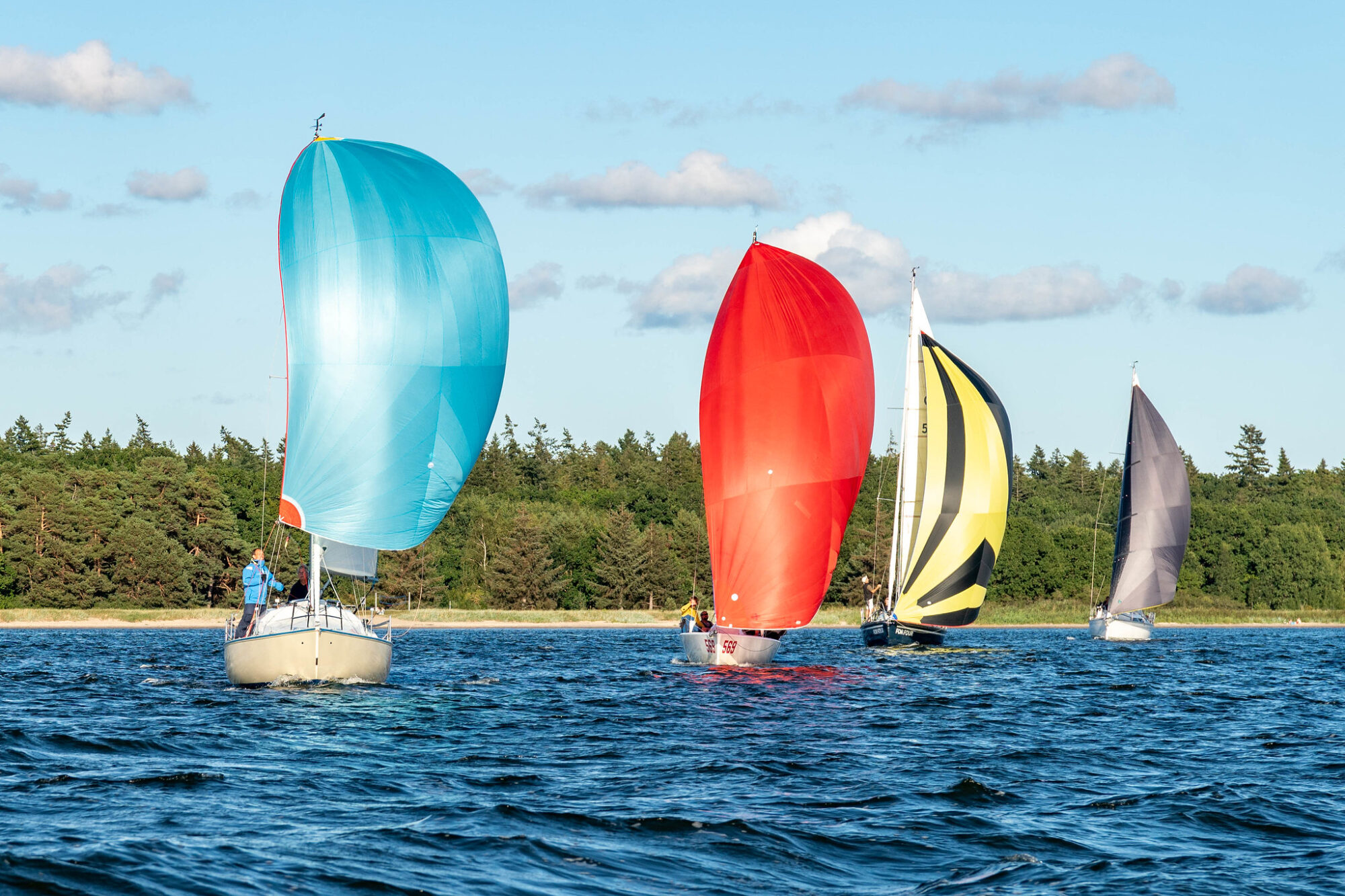 Überlegene Sieger bei der Greifswalder Mittwochsregatta 2025