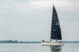 Best of Wildcard 2025